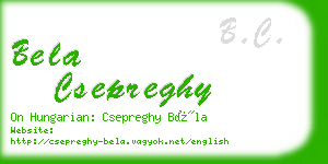 bela csepreghy business card